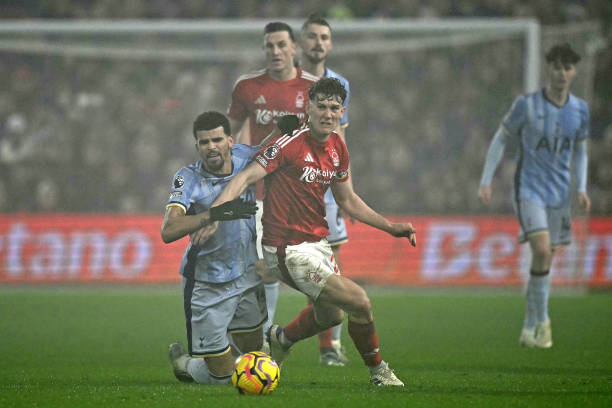 收获了无数 收获了无数