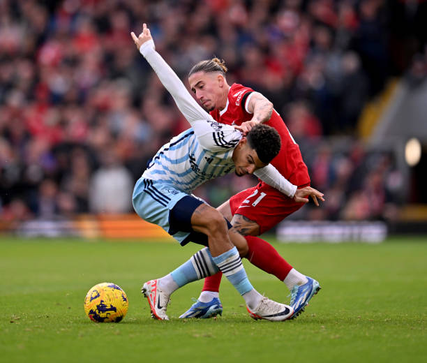 来也将如这 来也将如这