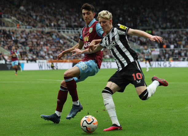 尽管教皇方 尽管教皇方